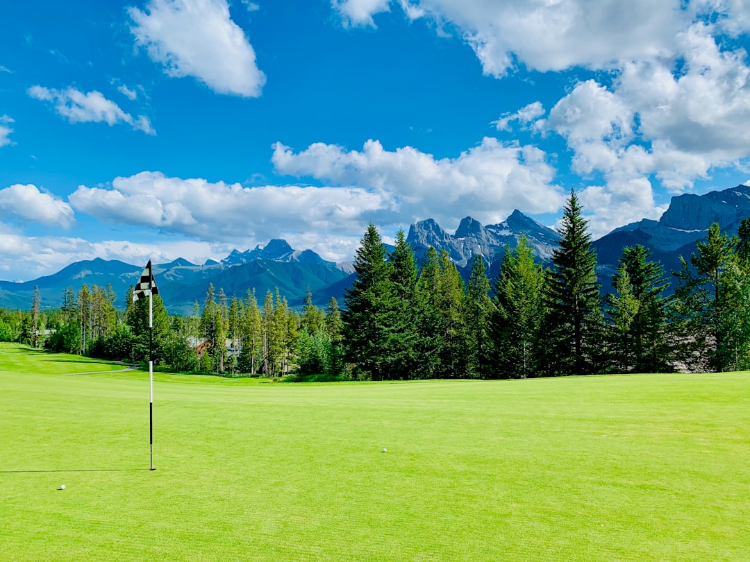 Tree Farm Golf: A Unique and Scenic Golfing Experience